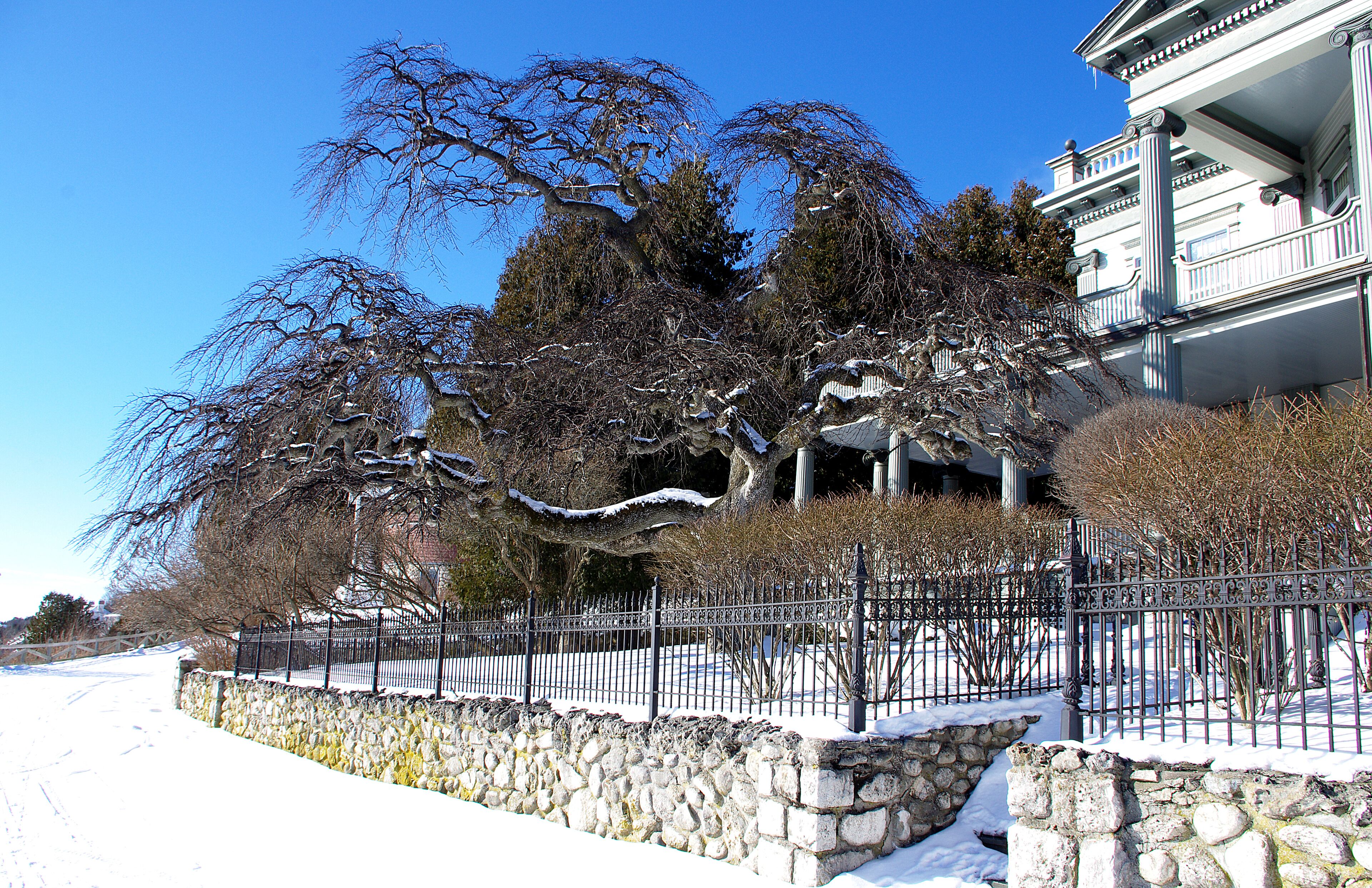 The island is a summertime tourist mecca. However in the Winter there are only a few hundred permanent residents on the island. The only reliable transportation this time of year is to fly, that is weather conditions permitting. Beautiful to be there if you don't mind the cold and snow.