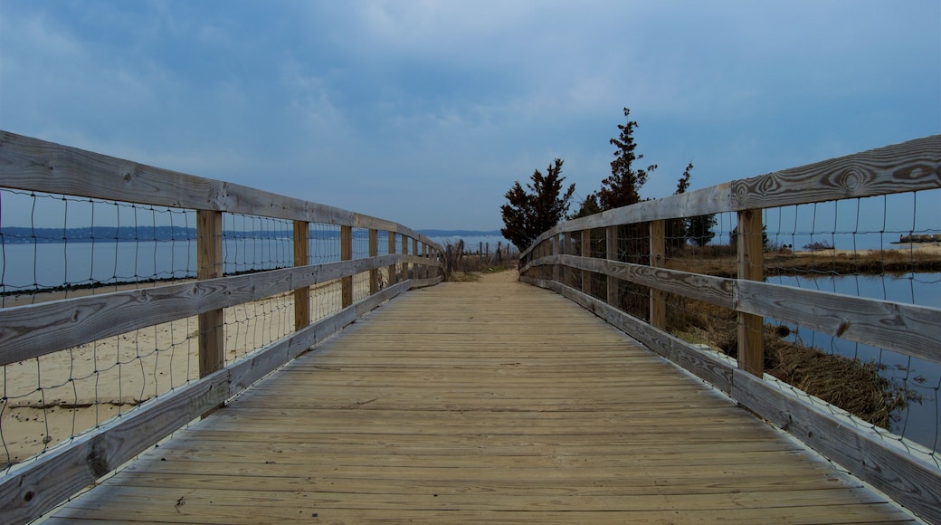 Sandy Hook Beaches, Jersey Shore