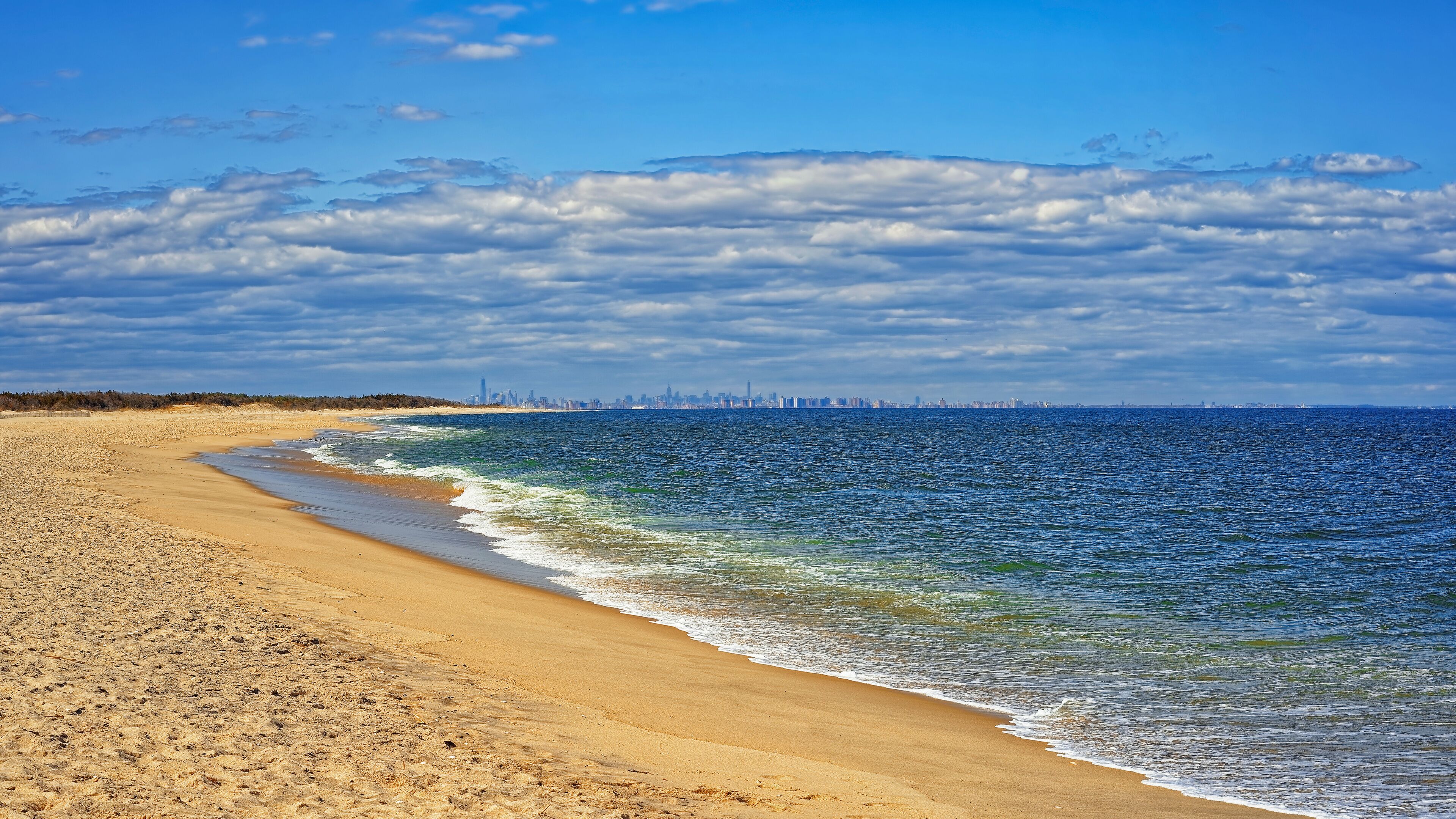 A sandy beach with gentle waves, a clear sky, and a distant city skyline.