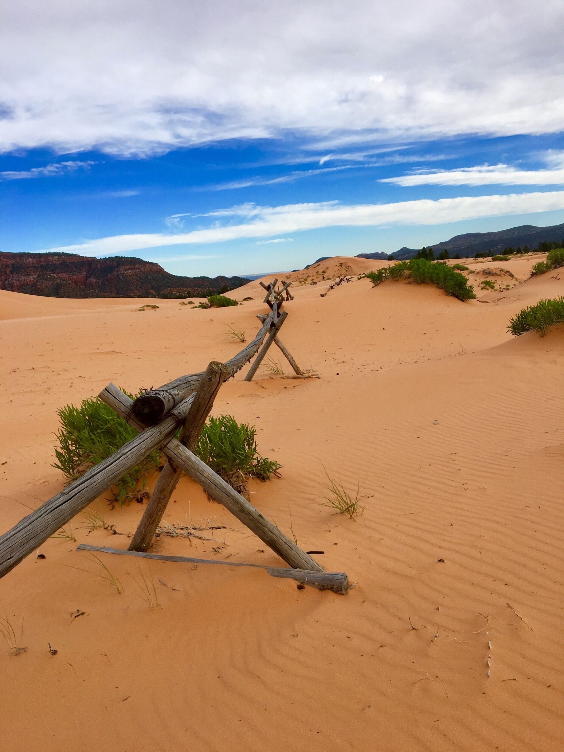 Beautiful area with dunes of warm, pink sand have become a favorite place to ride off-highway vehicles.