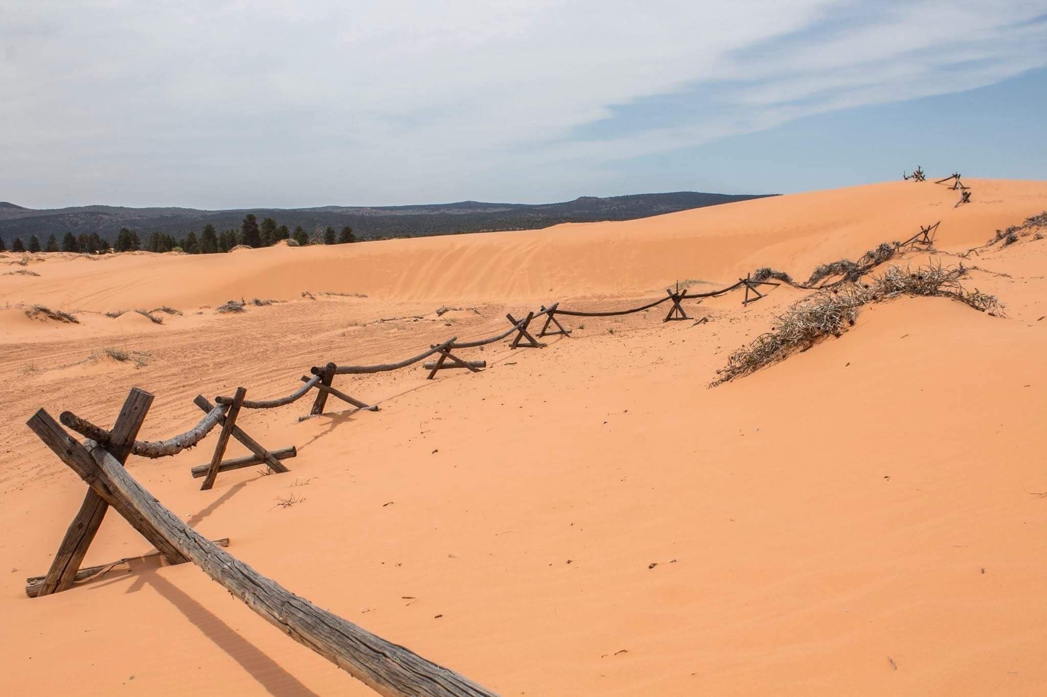 Utah's coral pink sand dunes are gorgeous. #statepark #utah
