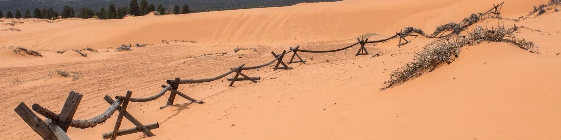 Paisaje desértico con dunas de arena y una valla de madera.