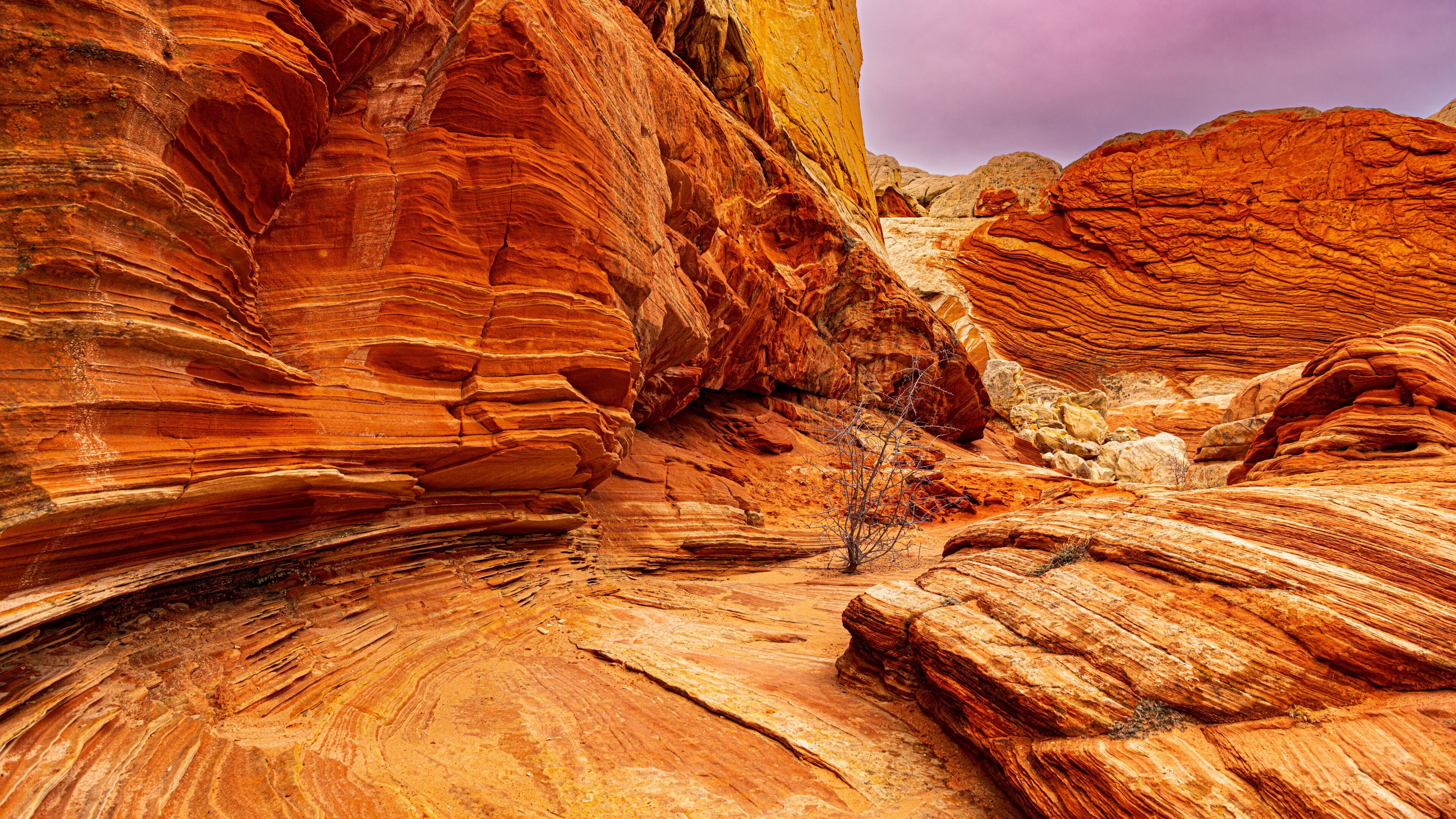 Kanab