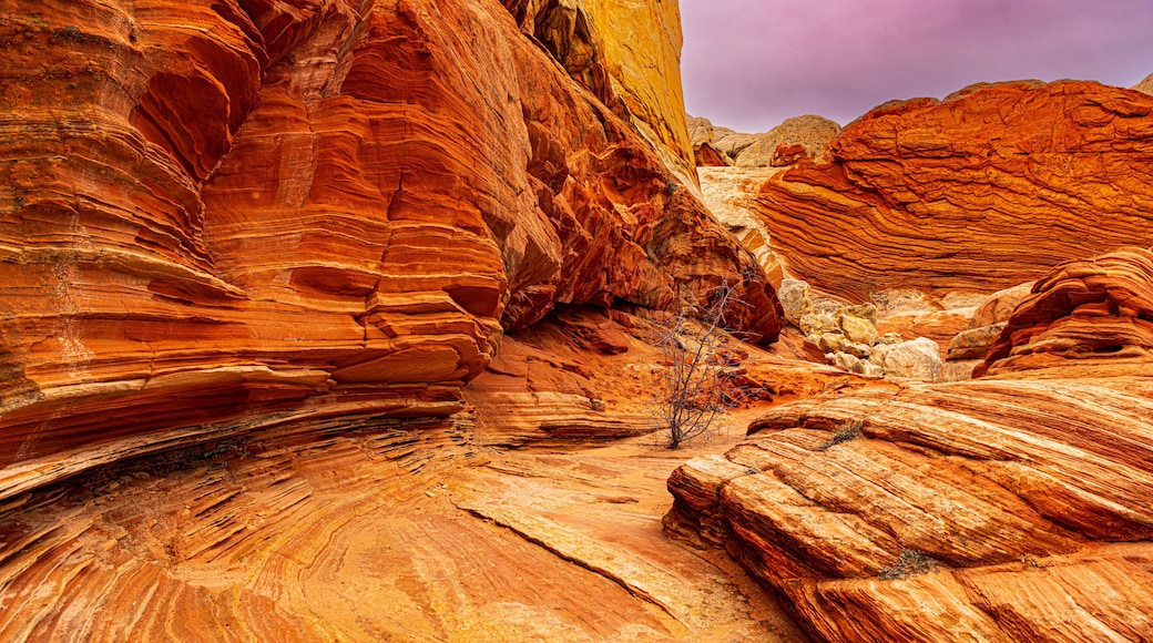 Kanab