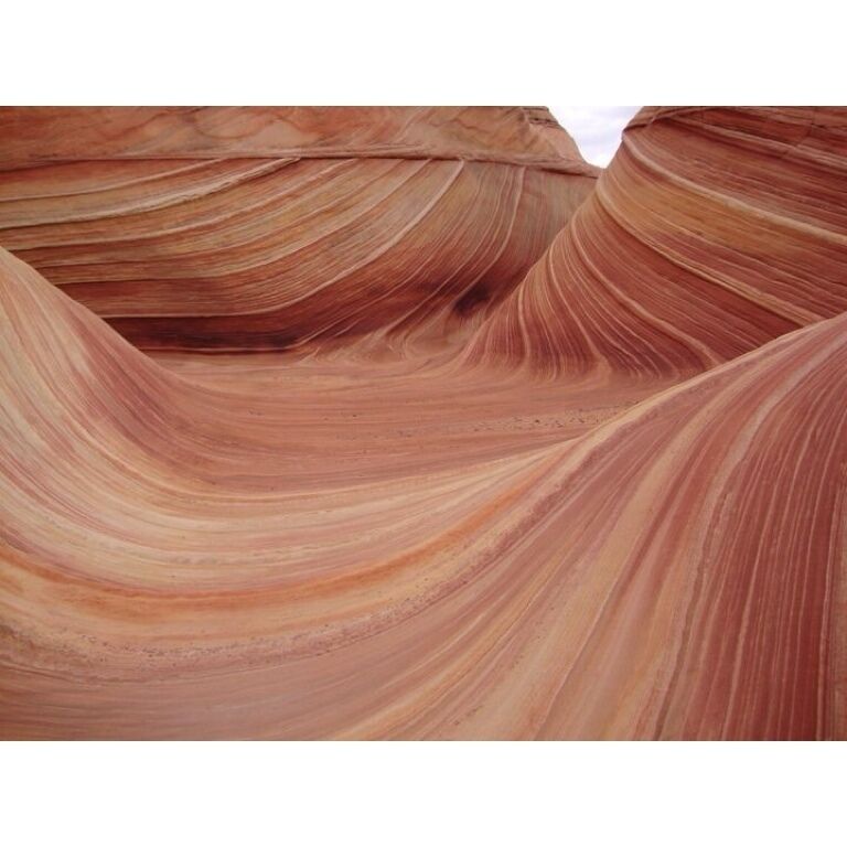 A canyon with smooth, curved rock formations.