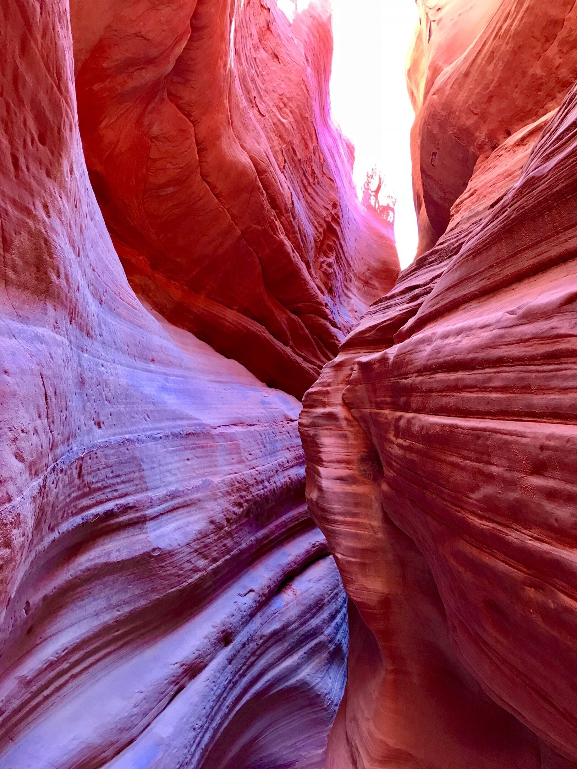 A narrow canyon with smooth, red rock walls.