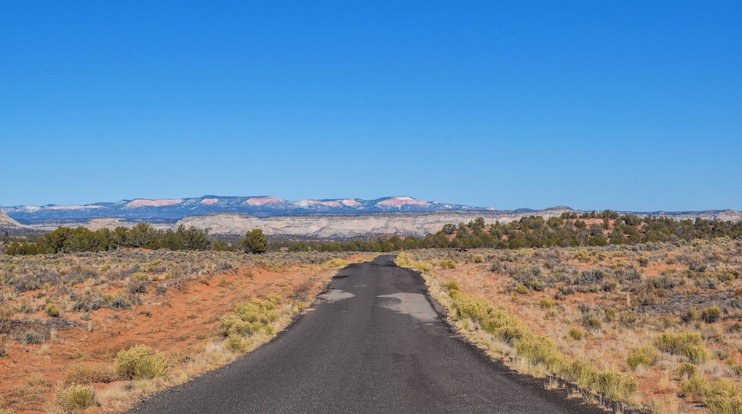 This was the road leading out of the Coral Pink Sand Dunes State Park in Utah. I never actually saw the coral pink sand dunes or the state park part. I don't think I drove far enough down the road on the little detour. It was still a stunning and beautiful sight nonetheless.