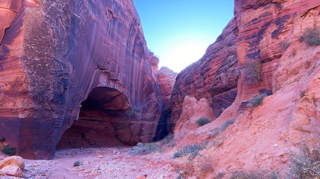 Travel through hidden slot canyons to reach this special spot. Didn’t make it to Arches on this trip but felt like we found one anyway. #localsecrets #Utah #pariahwilderness