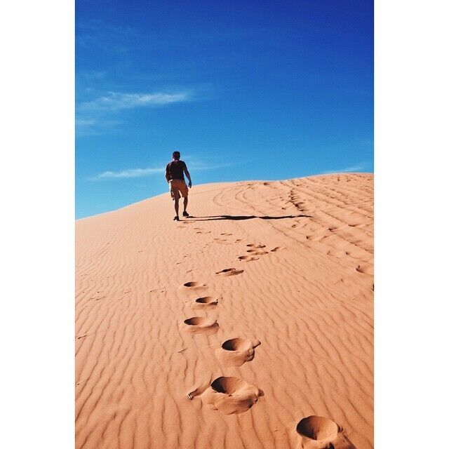 The wild called. And we answered! #pinkcoralsanddunes  #utah #passeyadventures #utahisrad #nikonphoto_ #TroveOn #roadtrip