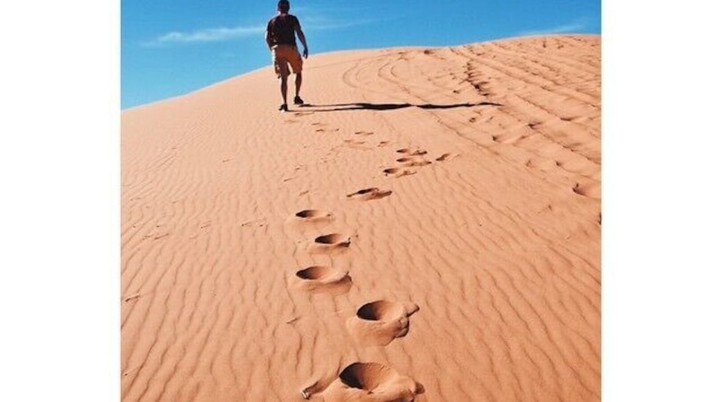 The wild called. And we answered! #pinkcoralsanddunes #utah #passeyadventures #utahisrad #nikonphoto_ #TroveOn #roadtrip