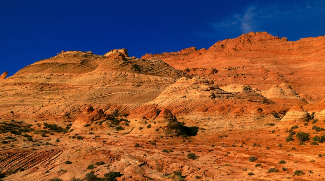 The Wave, Coyote Butte, Kanab, Utah