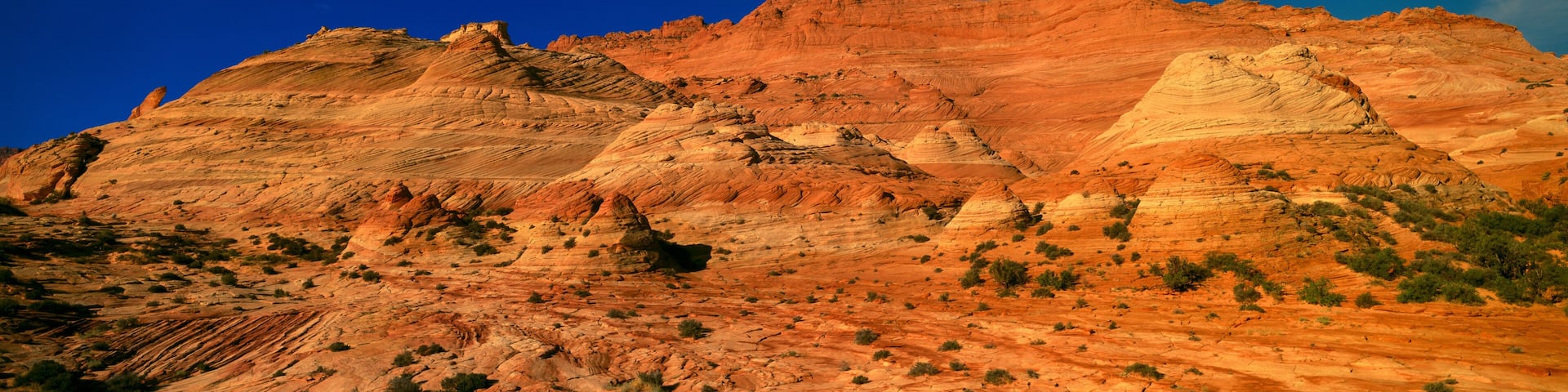 The Wave, Coyote Butte, Kanab, Utah