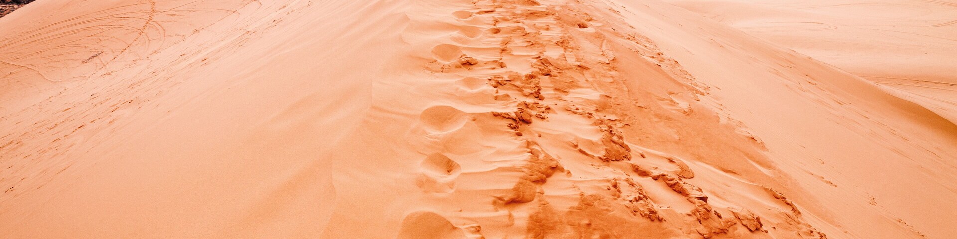 This beautiful state park will mesmerize you with impressive relief and colors. The pink sand dunes are an unique spot in UTAH's mountains. Very close to Zion NP, this place is a must see
#adventures #Stateparks #sanddunes