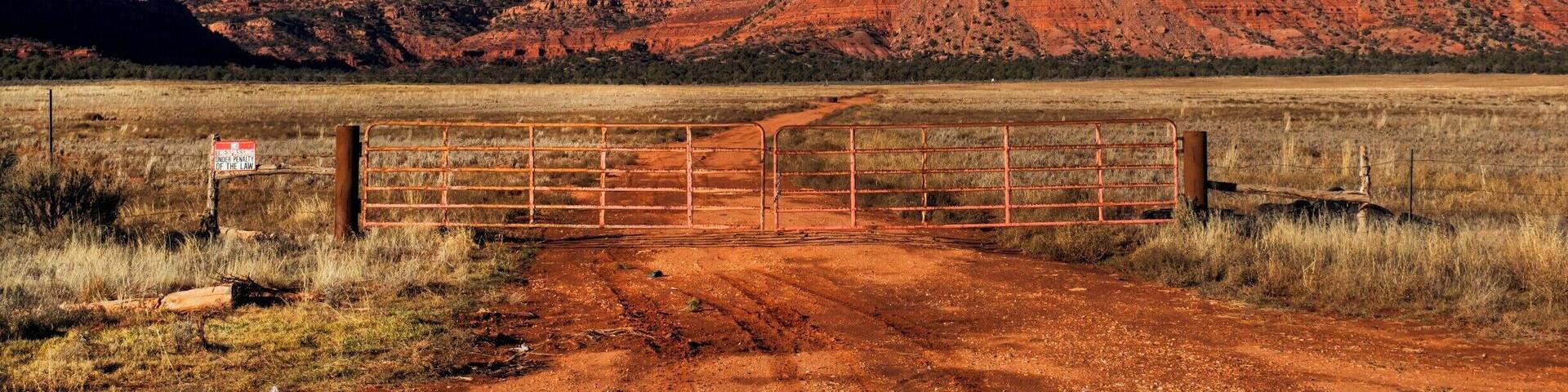 A dirt road leading to a metal gate in a dry grass field with red rock formations in the background.