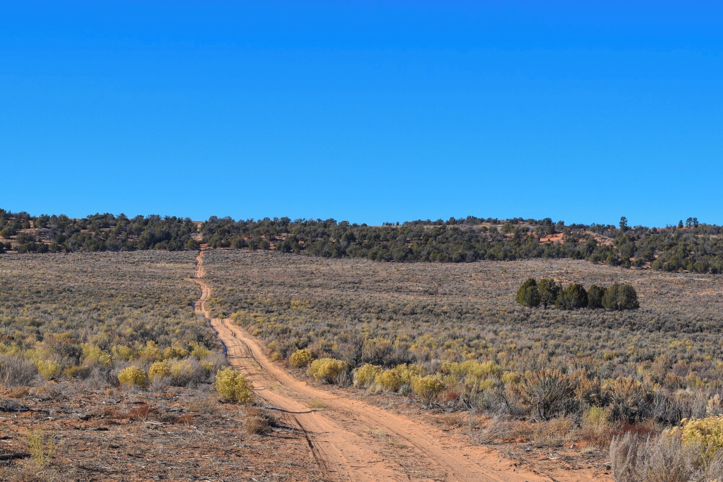 This was one of the many roads that had a sign that said four wheel drive only. I so wished that the Hyundai Elantra I rented had four wheel drive. I wanted to know what was up there. 