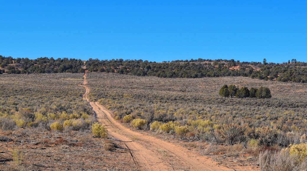 This was one of the many roads that had a sign that said four wheel drive only. I so wished that the Hyundai Elantra I rented had four wheel drive. I wanted to know what was up there.