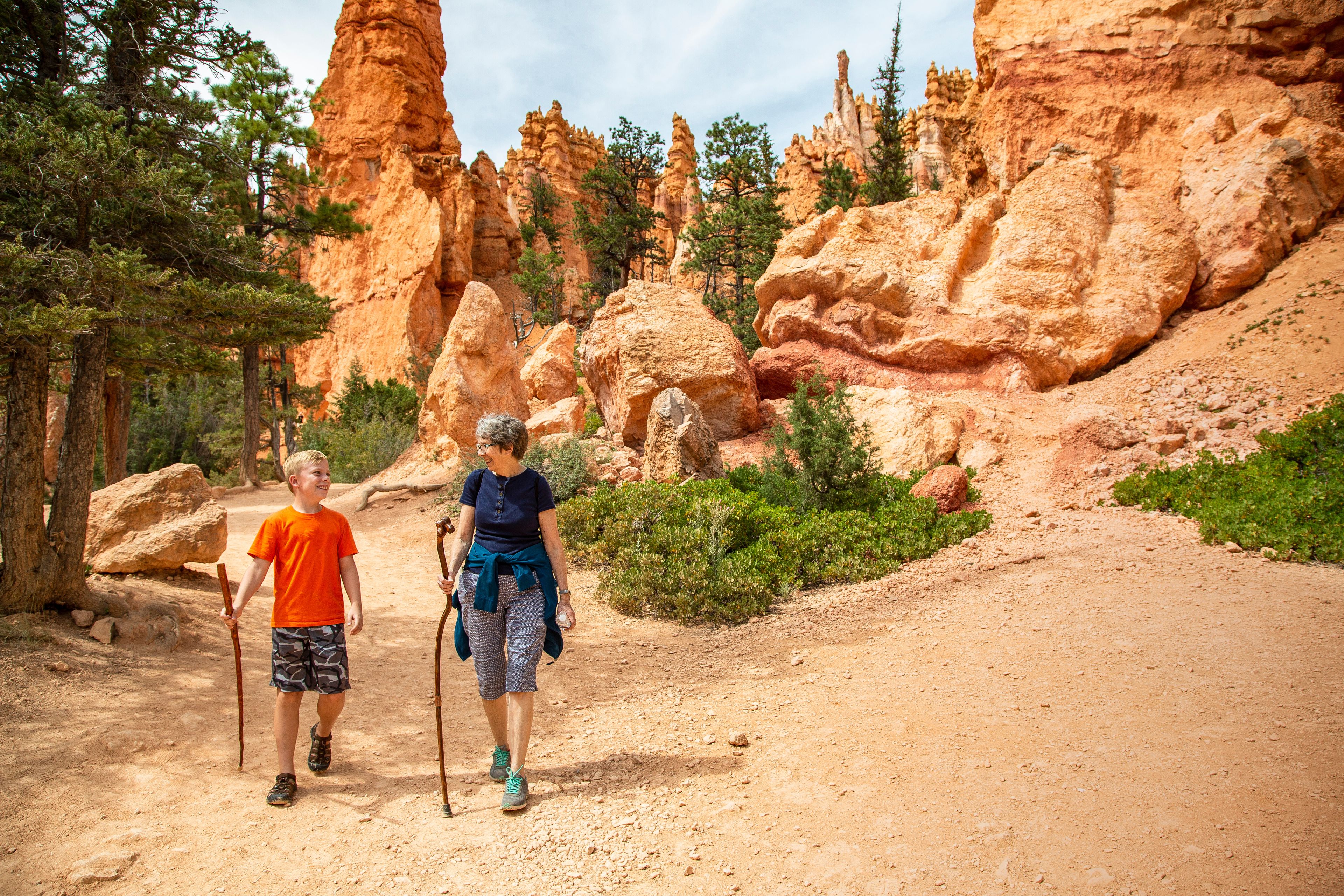 A hiking trail with red rock formations and pine trees.