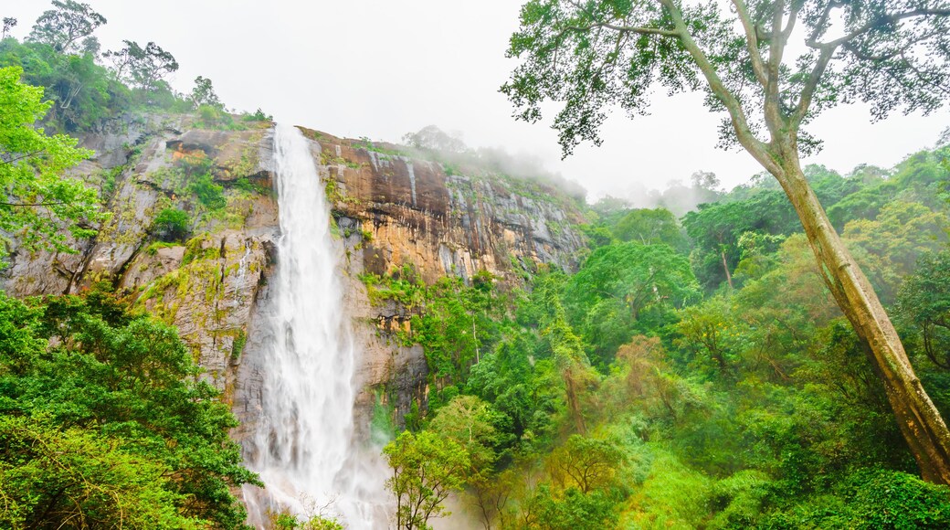 View on Diyaluma water fall Sri lanka located betwenn Wellawaya and Haputale