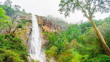 Uma cascata despenca por um penhasco rochoso, rodeada por uma floresta verde densa.