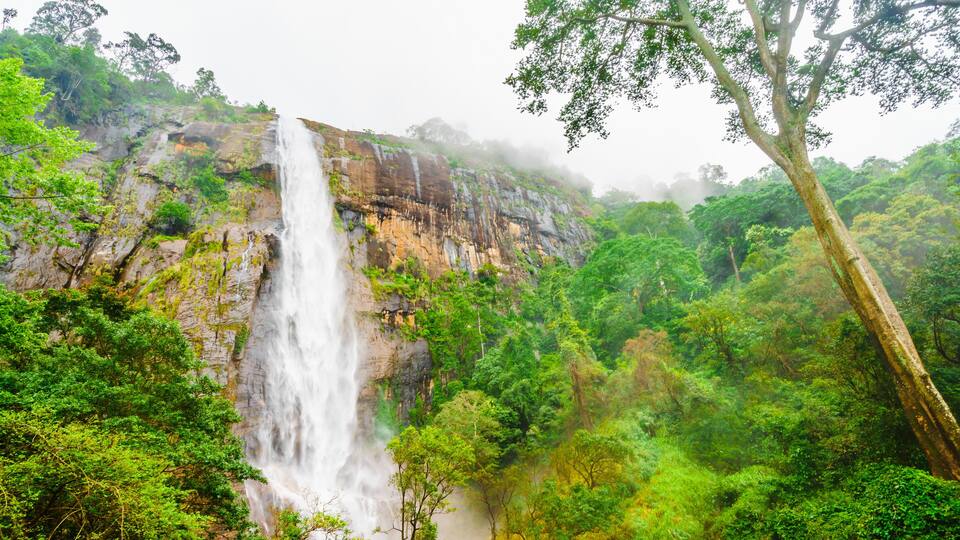 A waterfall cascading down a rocky cliff surrounded by dense green forest.