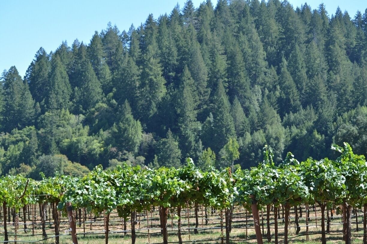 Beautiful MacMurray Ranch