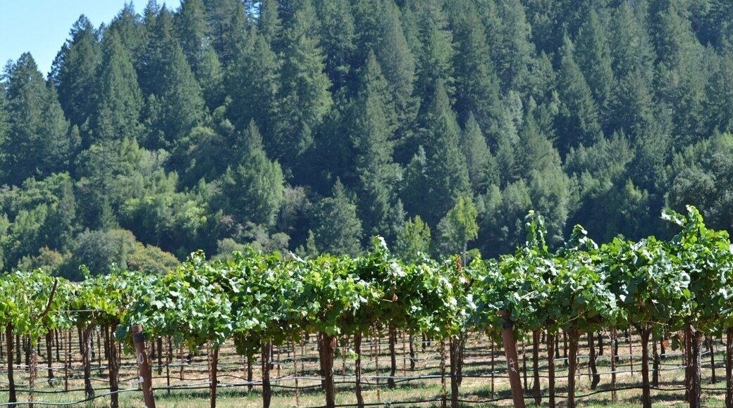 Beautiful MacMurray Ranch