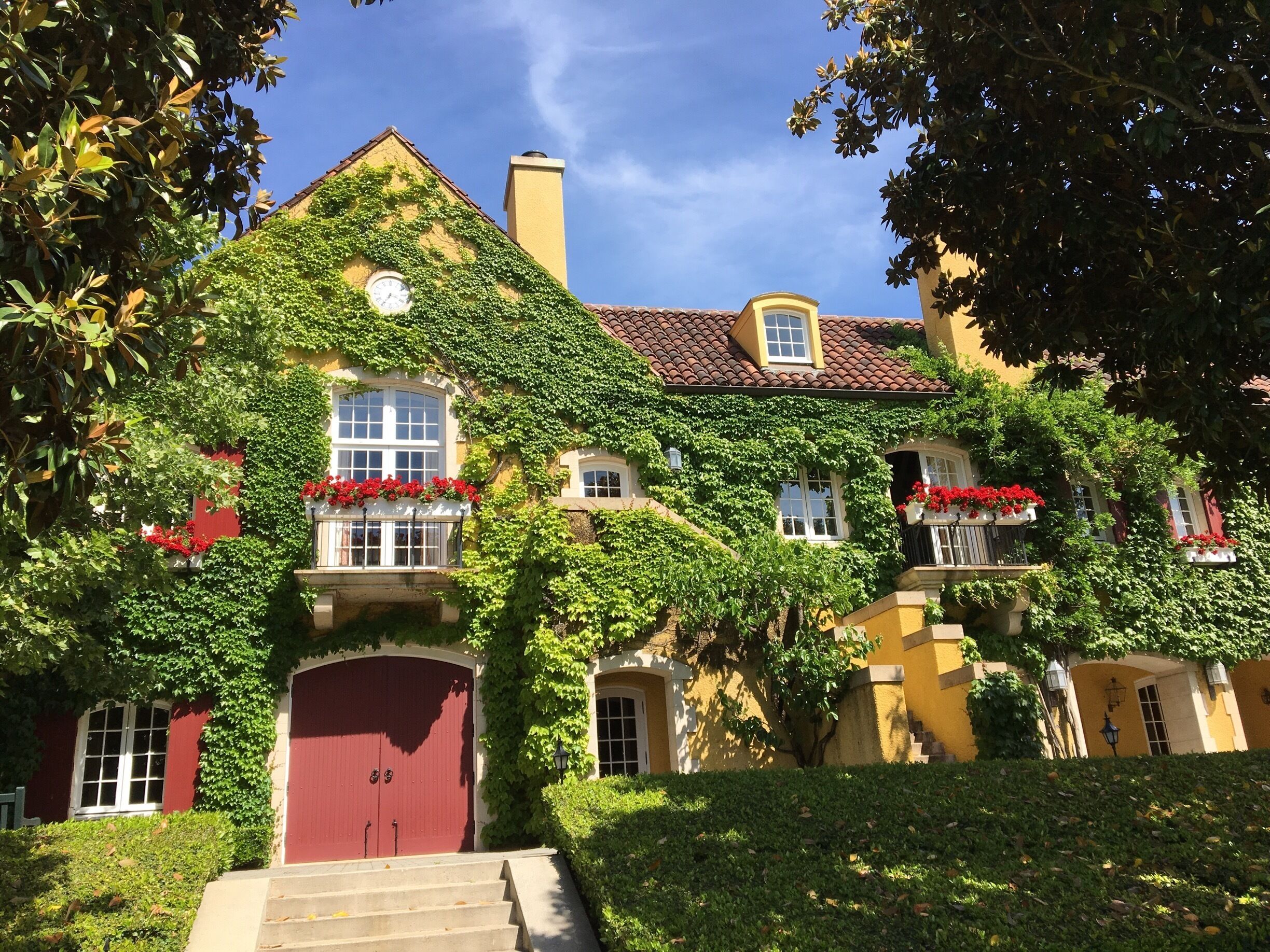A house covered in ivy with red flowers and a red door.