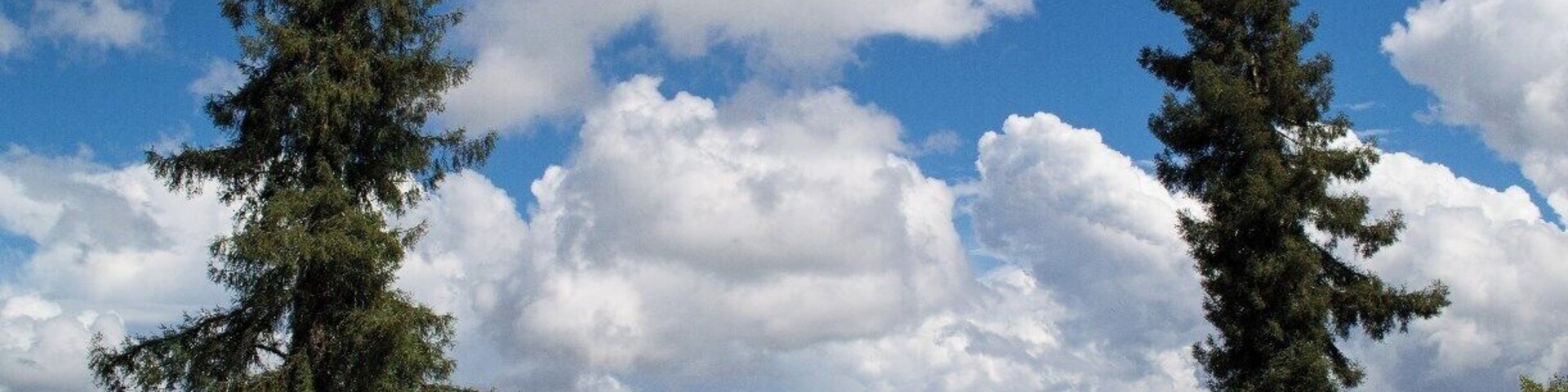 8339 W Dry Creek Rd Healdsburg, CA 95448
(Trover says Sonoma County, Ca)
The intimate bungalow-style tasting room is filled with memorabilia from Raymond Burr's acting career, notably his Emmy awards and 14 vintage issues of TV Guide with his photo on the cover. The space is cozy, so unless the weather is dismal, visitors are able to take their glasses onto the patio, where they can be served in the shade of an ancient oak tree and take in the sweeping vistas sitting at rustic picnic tables.