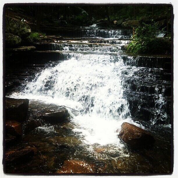 Collins Creek Waterfall. It is located off Ark 25 in Heber Springs. Right before the fish Hatchery. It was nice and cool and wonderful to wade in. #waterlust