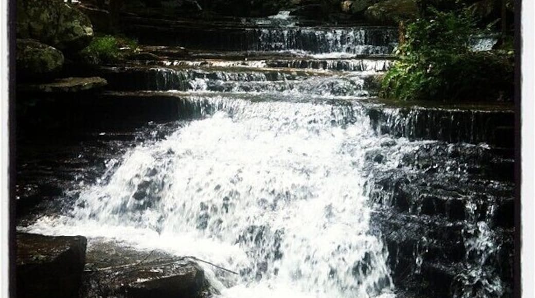 Collins Creek Waterfall. It is located off Ark 25 in Heber Springs. Right before the fish Hatchery. It was nice and cool and wonderful to wade in. #waterlust