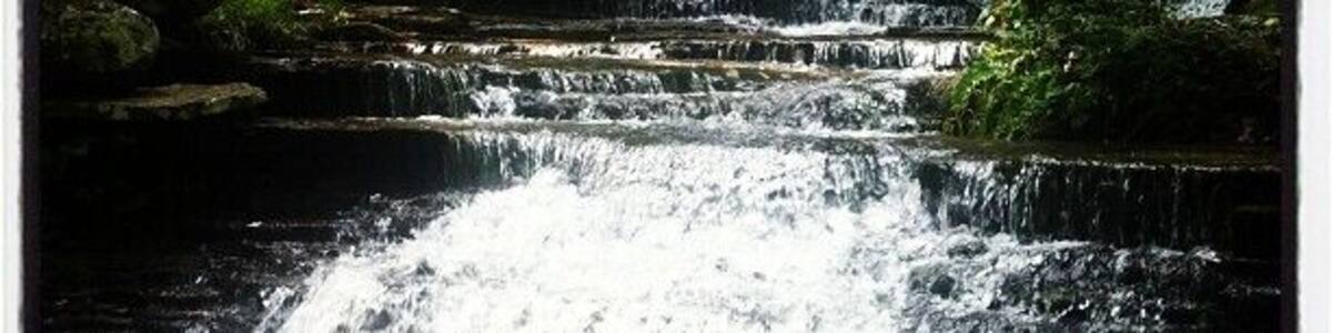 Collins Creek Waterfall. It is located off Ark 25 in Heber Springs. Right before the fish Hatchery. It was nice and cool and wonderful to wade in. #waterlust