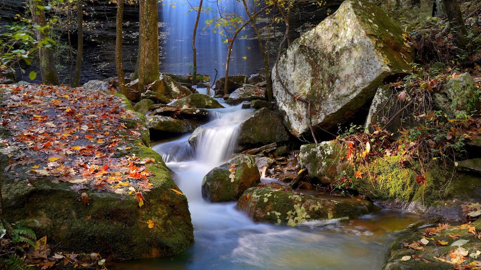 A forest stream with rocks and autumn leaves.
