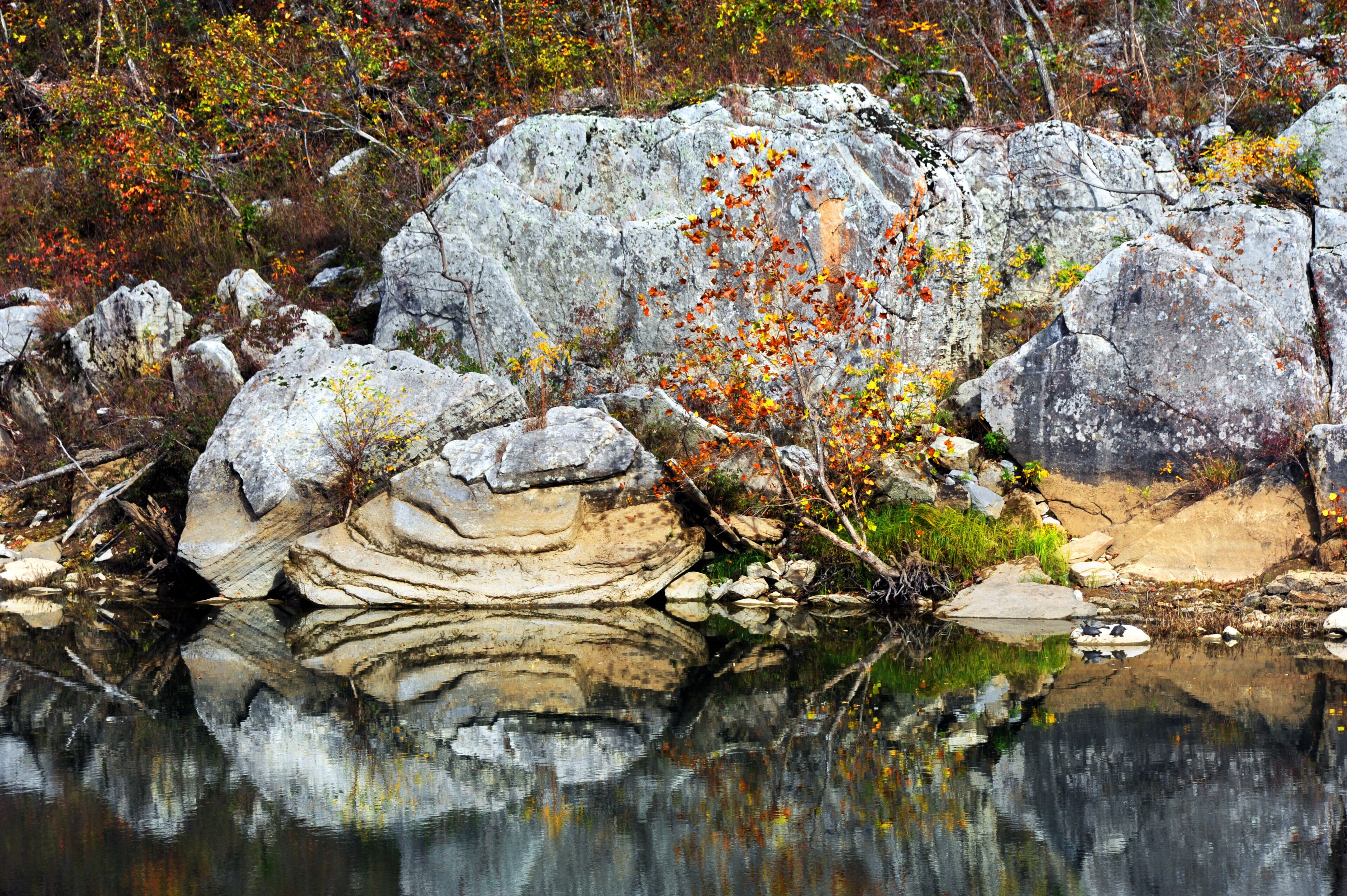 Buffalo River Rock