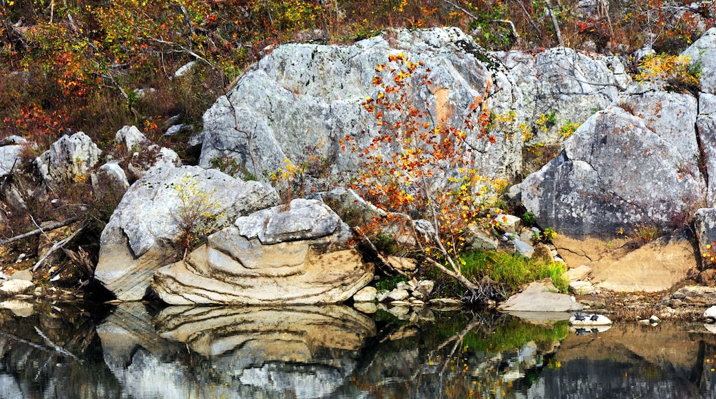 Buffalo River Rock