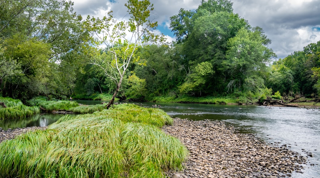 Little Red River, Arkansas