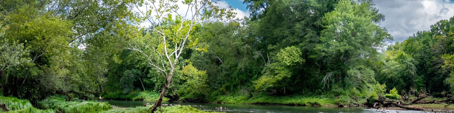 Little Red River, Arkansas