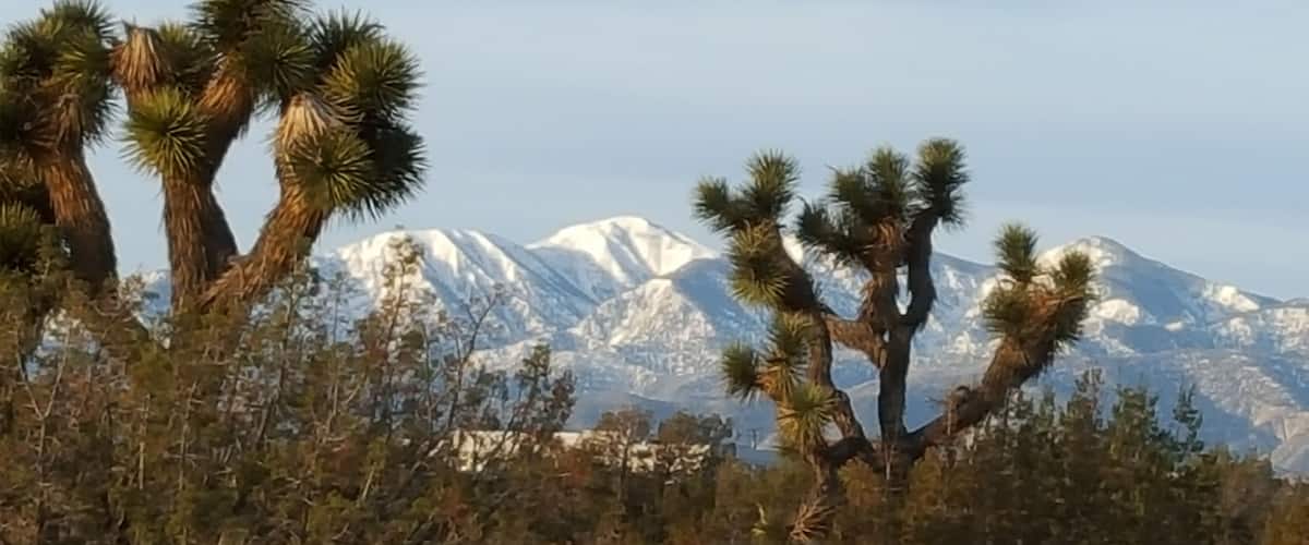 Again, Yucca Trees and snow covered mountains form a perfect contrast in nature.