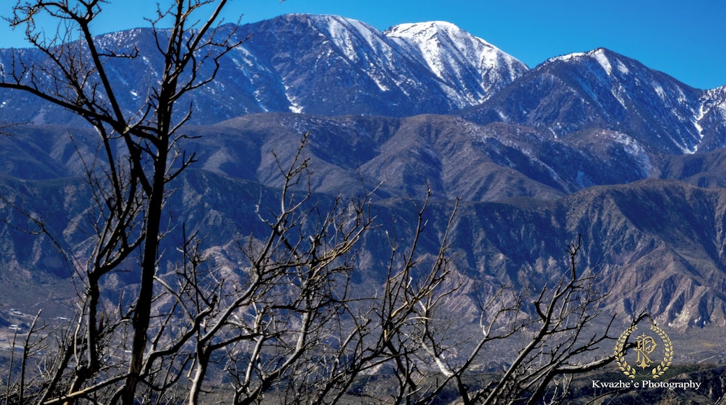 2020 of Feb 7th - Hesperia, California