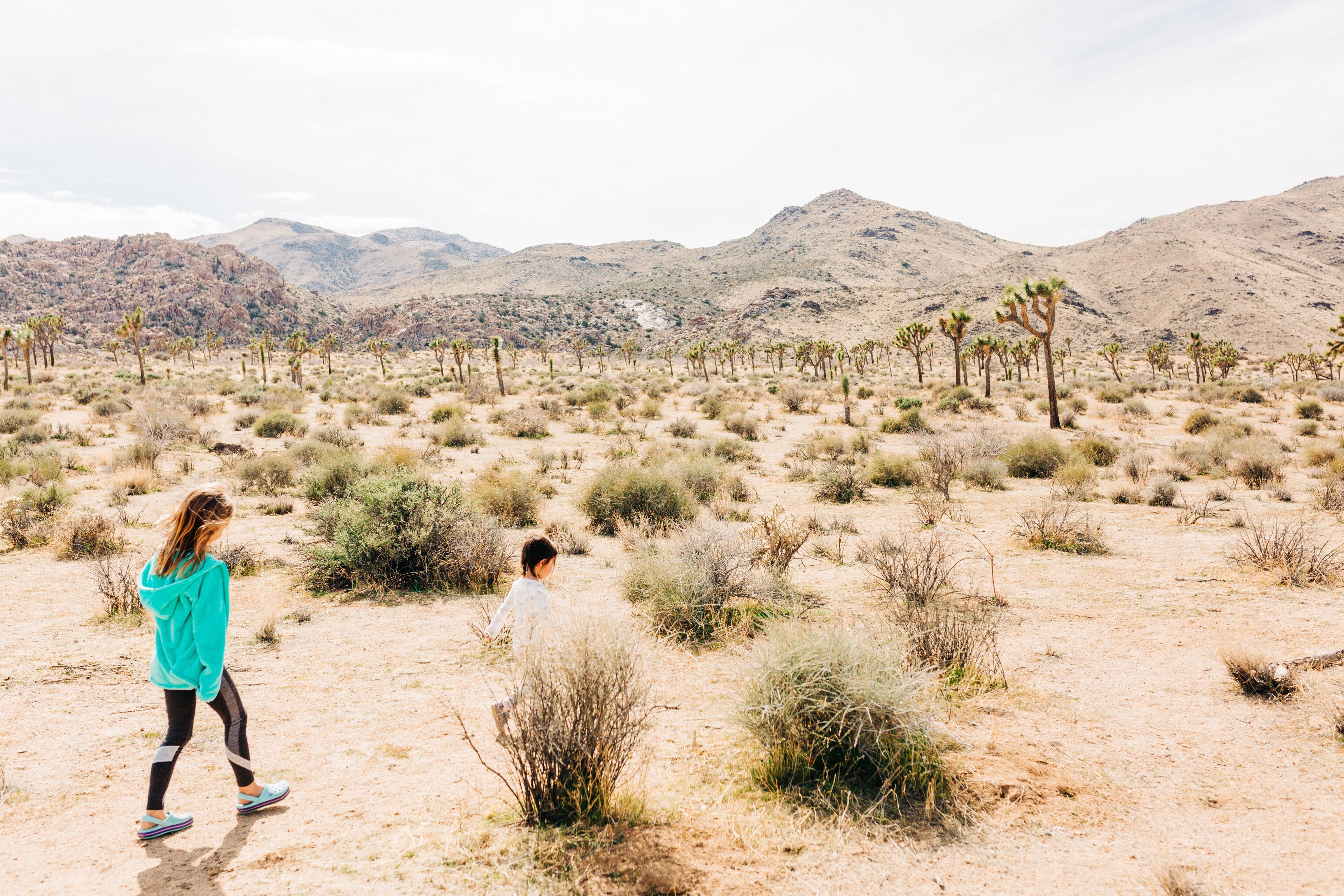 Young Children Exploring Dessert Landscape