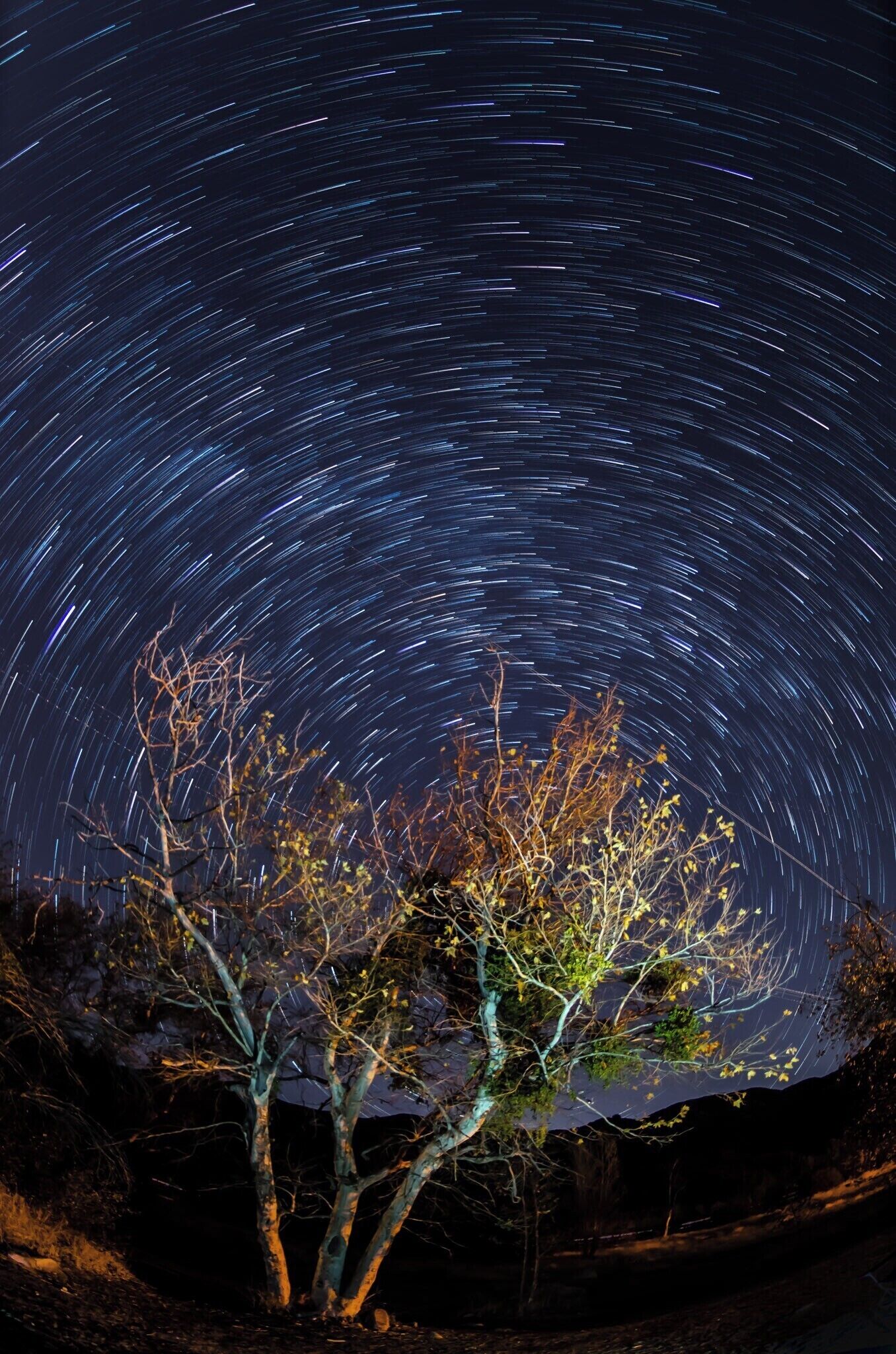 Maybe you're not somewhere epic, in this case a great group campground. There's always a shot to be found . Find a foreground, an interesting tree in this case and let the night go by.

#BvSAstro #California #Silverwoodlake #Astro #Astrophotography #startrails