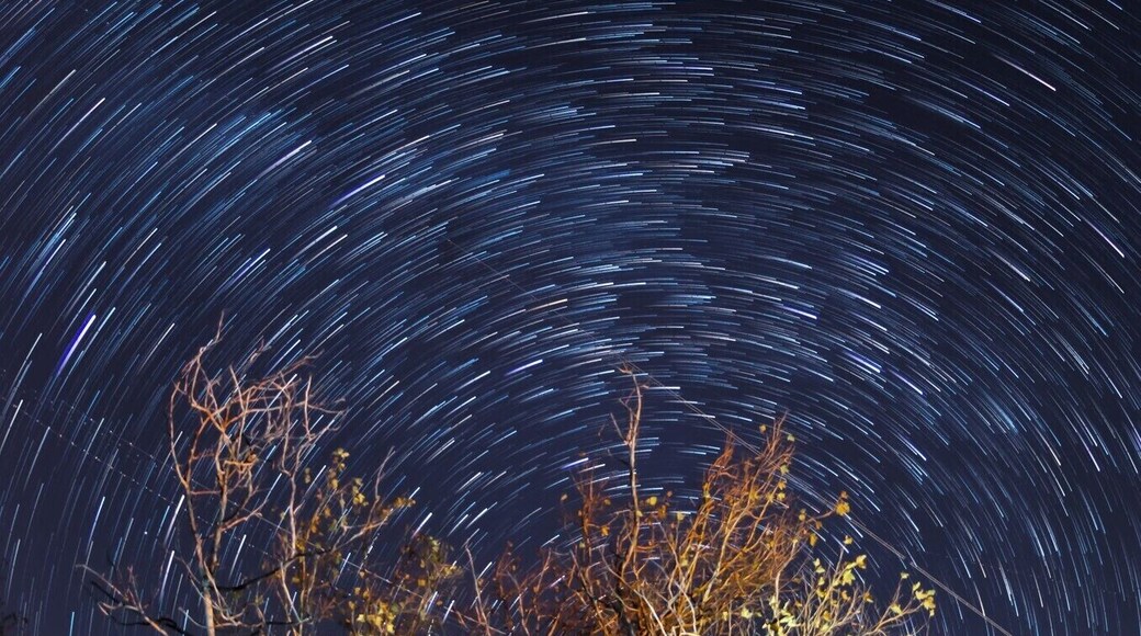 Maybe you're not somewhere epic, in this case a great group campground. There's always a shot to be found . Find a foreground, an interesting tree in this case and let the night go by.
#BvSAstro #California #Silverwoodlake #Astro #Astrophotography #startrails