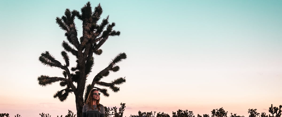 A person standing in a desert landscape with a large saguaro cactus.