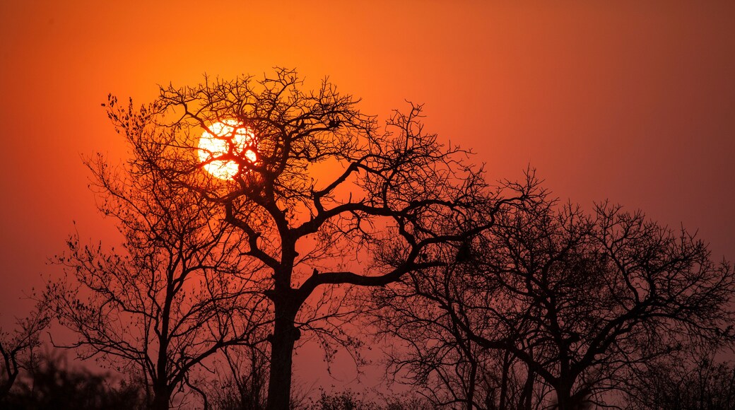 ムジェアネ自然保護区