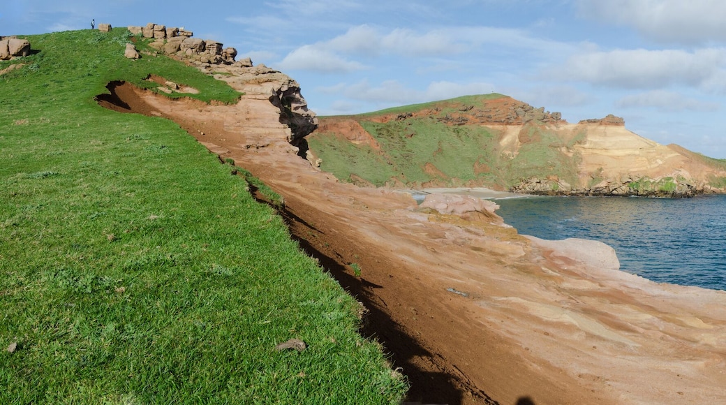 Elevated, panoramic view of a bay with eroded, red, sandstone cliffs in the Chatham islands, New Zealand.