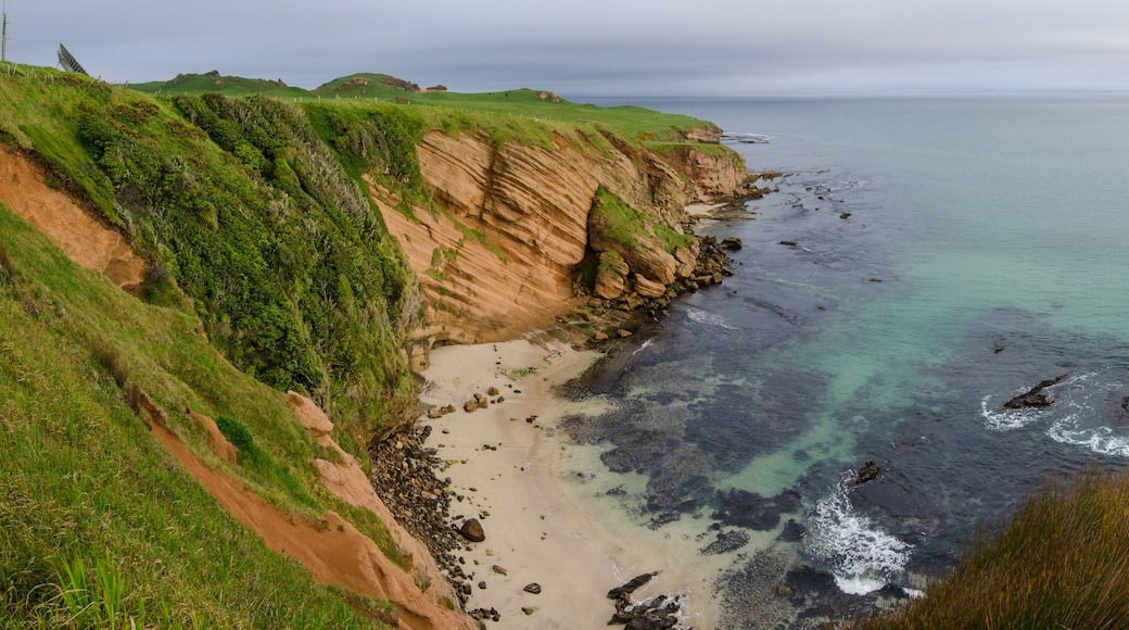 Elevated view of red sandstone cliffs and a small beach on the Chatham Islands, New Zealand.