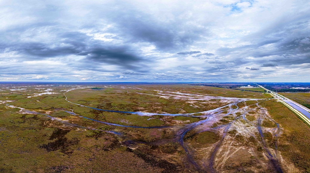 Panoramic View of the Florida Everglades