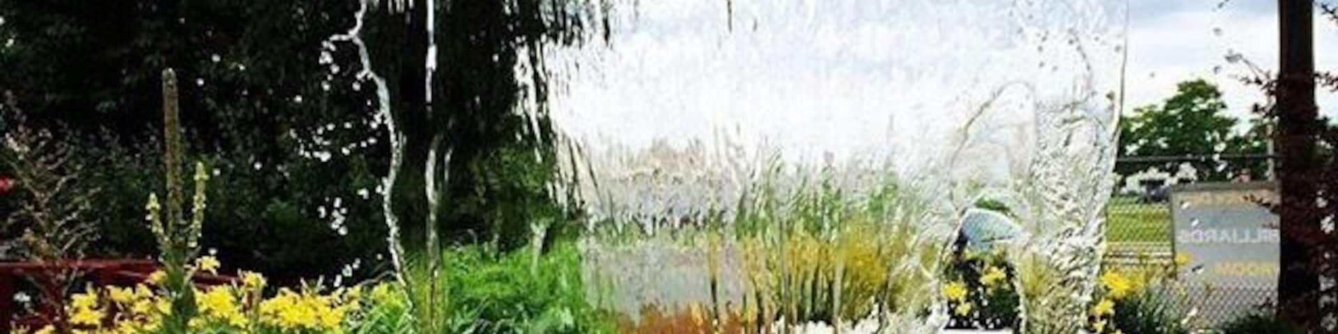 A waterfall cascading over rocks in a garden with various plants and flowers.