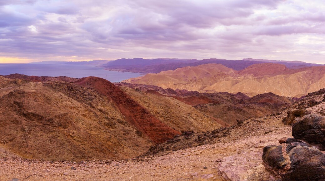 Borders meeting of Israel, Jordan, Saudi Arabia, and Egypt