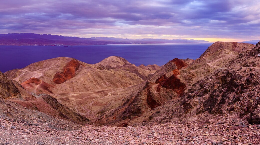 Borders meeting of Israel, Jordan, Saudi Arabia, and Egypt