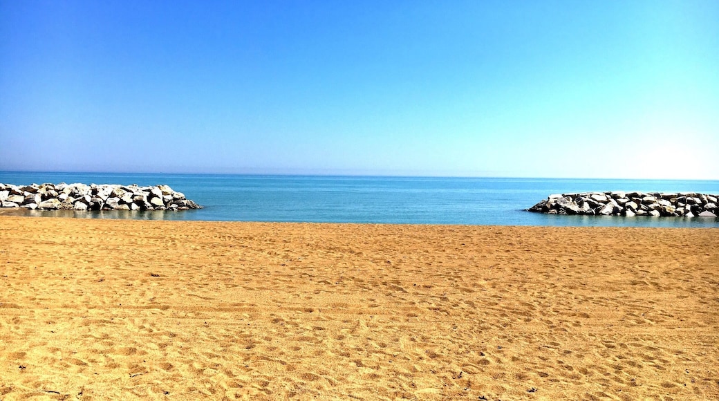 Lake Michigan is always unforgettable.